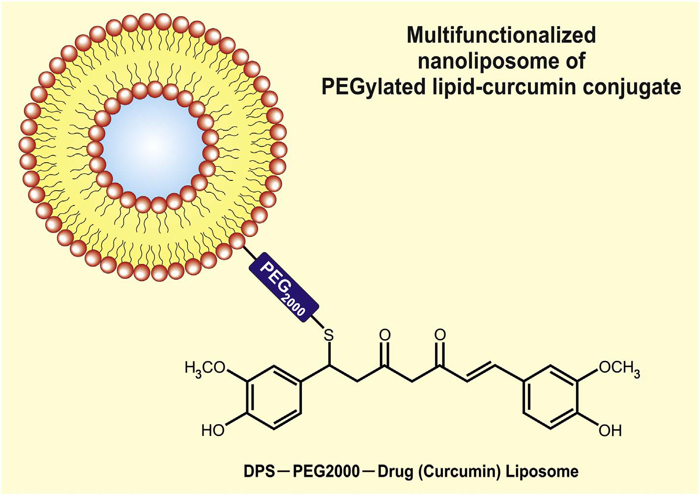 Graphical abstract of the publication entitled 'Recent advancements in liposomes targeting strategies to cross blood-brain barrier (BBB) for the treatment of Alzheimer’s disease'